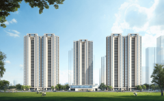 项目本身还规划有