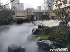 常休闲散步的选择